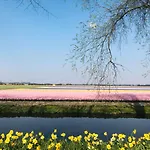 Lowietje - Keukenhof - Free Parking 4*