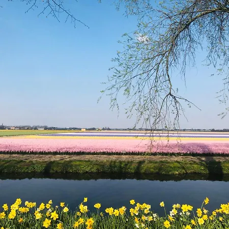 Lowietje - Keukenhof - Free Parking 4*