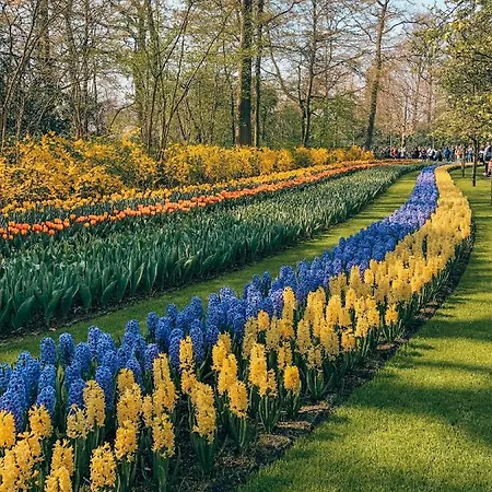 Lowietje - Keukenhof