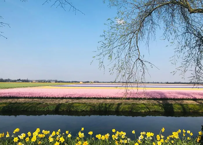 Lowietje - Keukenhof - Free Parking 4*